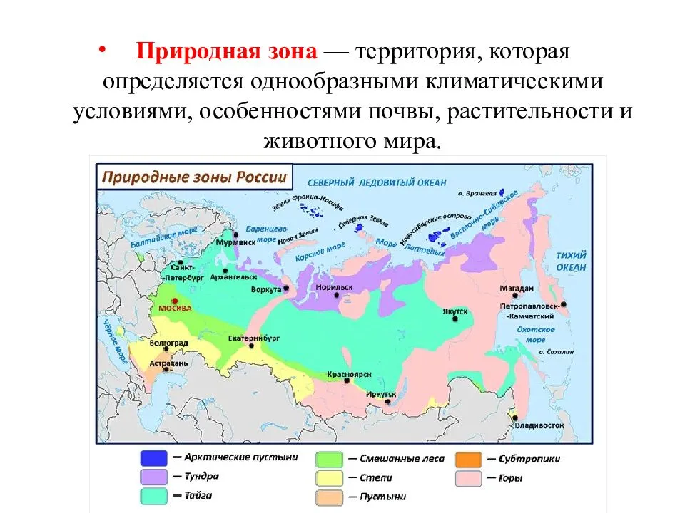 Животный и растительный мир природных зон россии