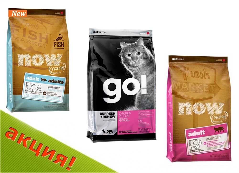 Лучшие беззерновые корма для кошек: топ 10 марок + отзывы