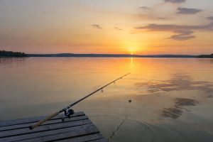 Отдых на Можайском водохранилище: рыбалка и уютные вечера у воды