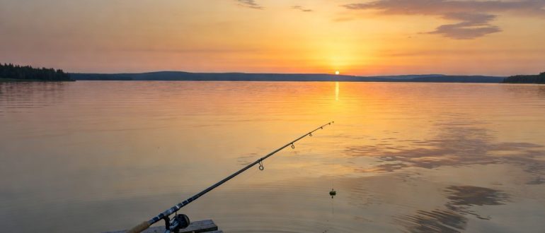 Отдых на Можайском водохранилище: рыбалка и уютные вечера у воды