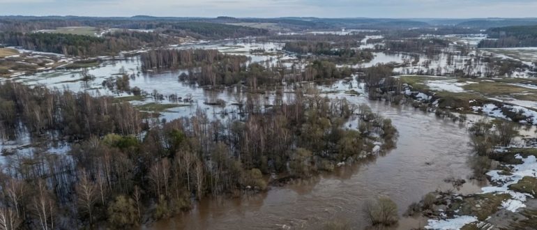 Весеннее половодье на равнинной реке с разливом по пойме