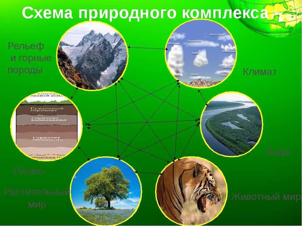 Природные компоненты россии география 8 класс