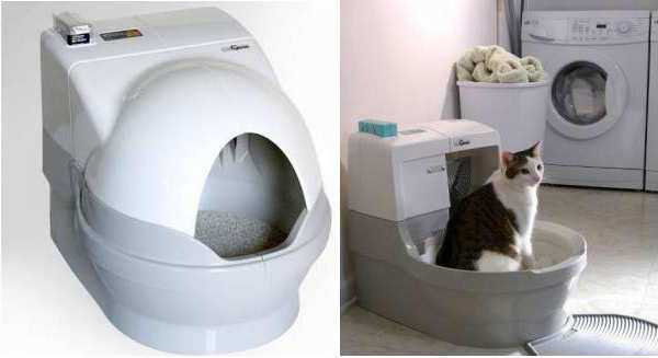 Обзор видов и брендов туалетов для кошек — без запаха, автомат с сеткой, вертикальный белый бокс и другие