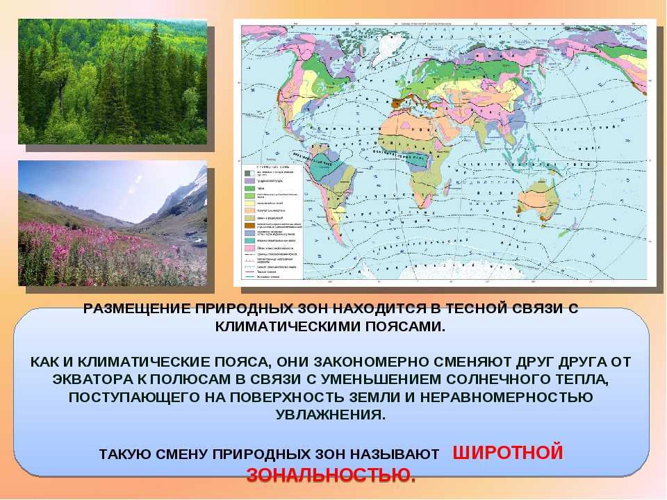 Изучите рисунок изменения растительности от экватора. Климатический пояс природная зона почва России. Природные зоны земли 7 класс Полярная звезда. Размещение природных зон на земле. Географическая зональность (природные зоны).