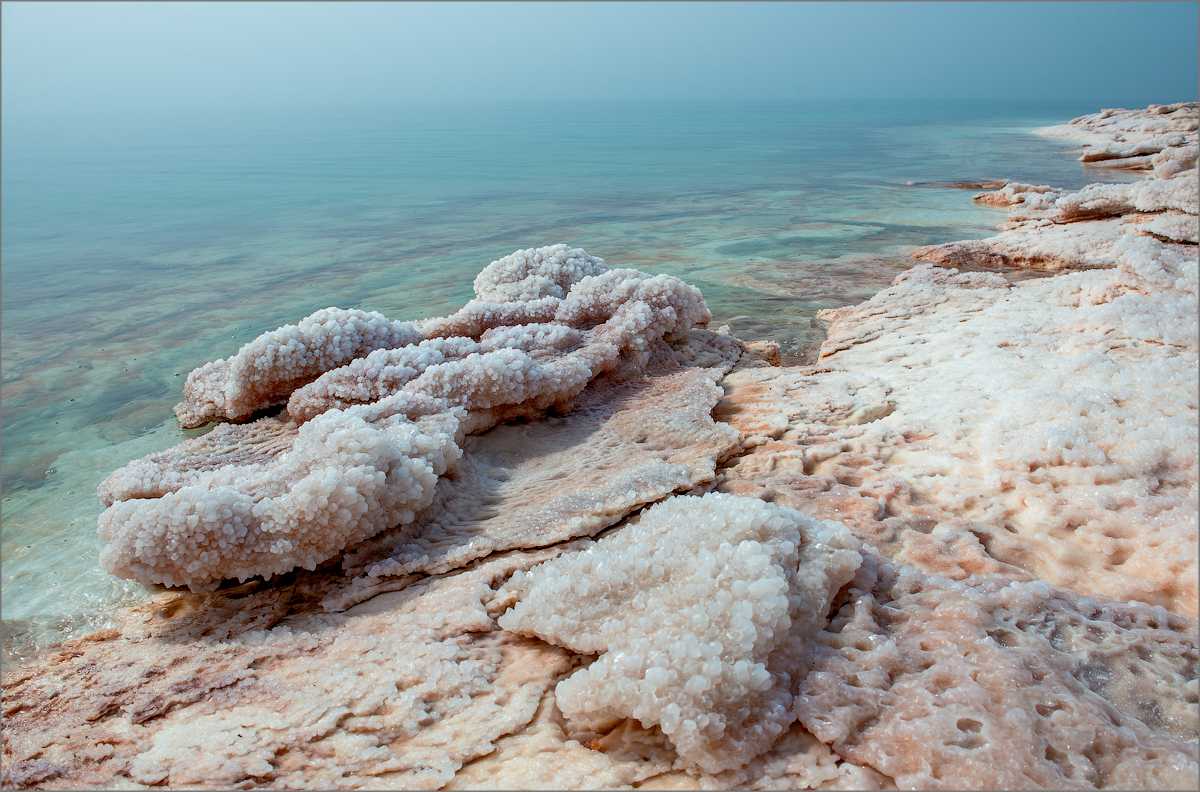 Почему мертвое море называется мертвым?