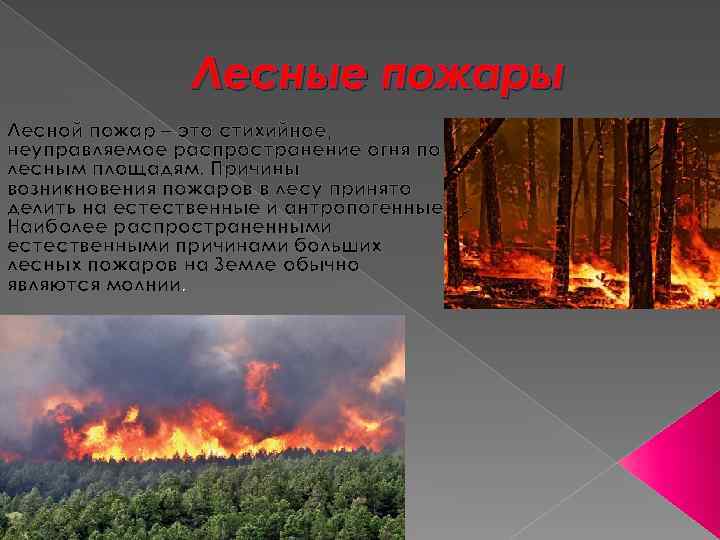 Лесные  пожары – что это? - интернет-журнал «живой лес»