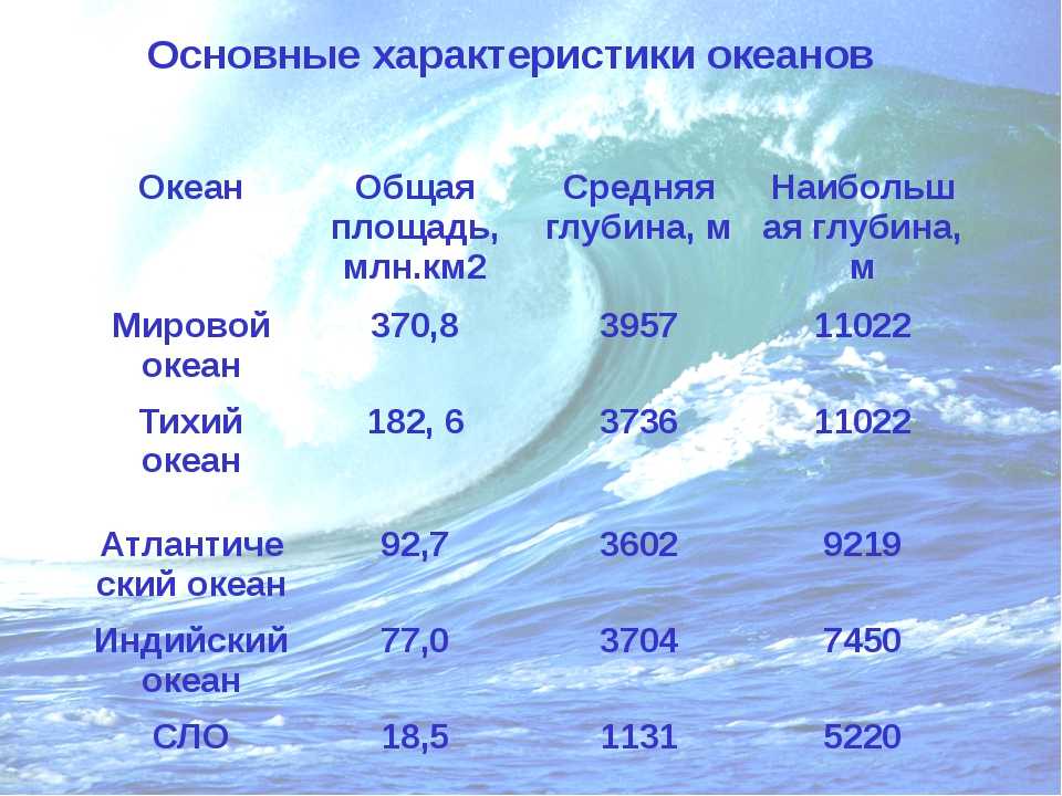 Карта мировых океанов: сколько морей на земле, их соленость, географическое положение и уровень глубин | tvercult.ru
