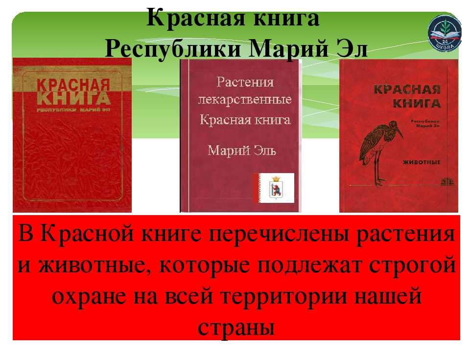 Животные, занесенные в красную книгу ставропольского края - названия, описание и фото — природа мира