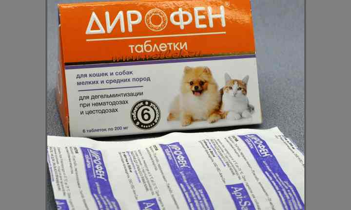 Каниквантел для кошек от глистов: инструкция по применению, дозировки и преимущества препарата