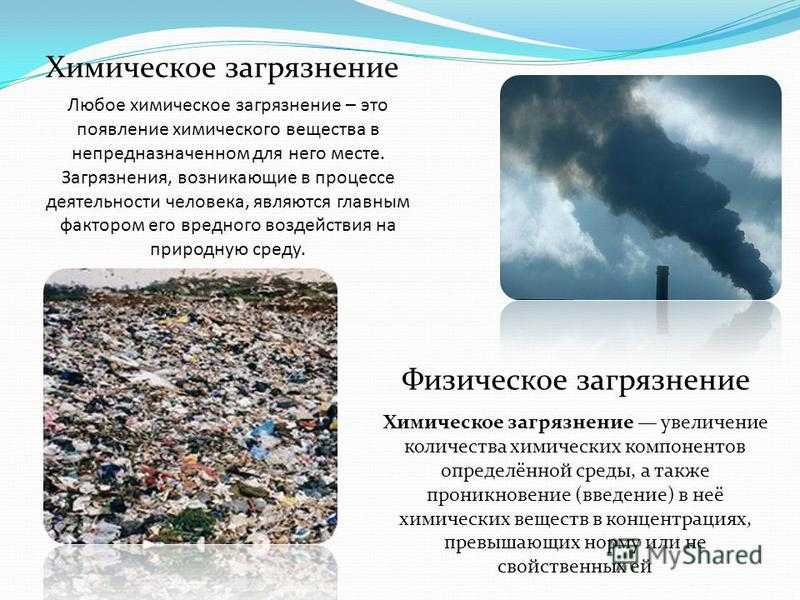 Виды загрязнений: по масштабам воздействия, источникам, влиянию