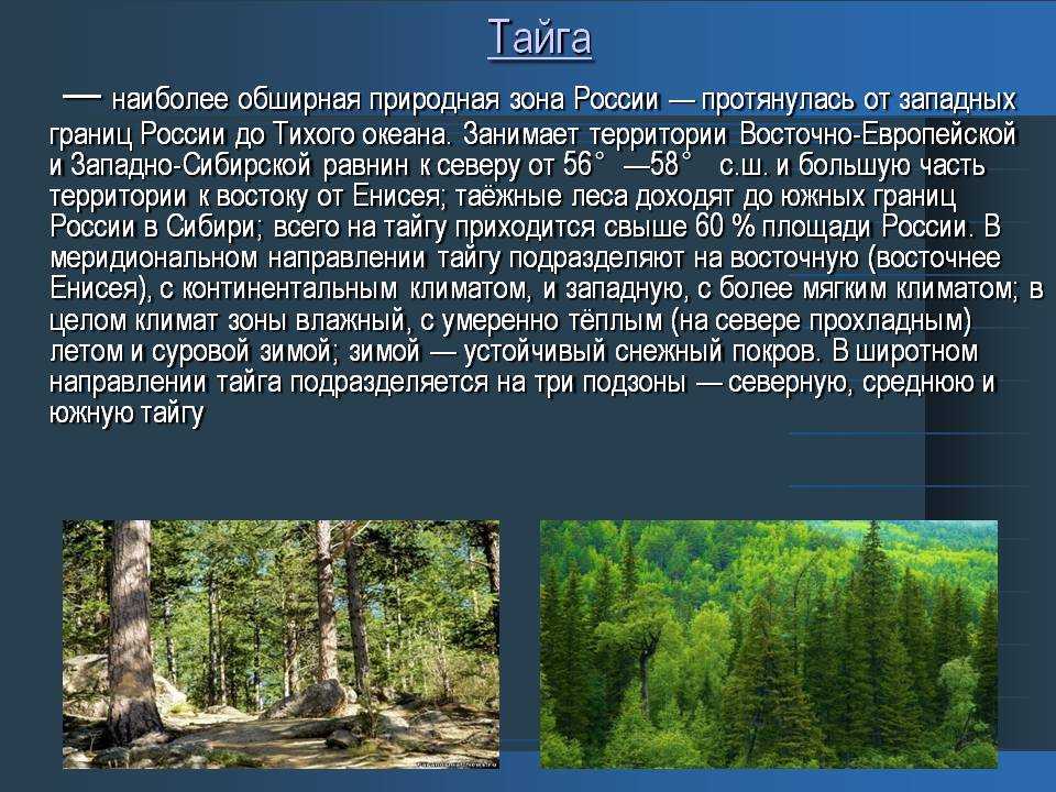 Природные зоны россии — список, описание, климат, почвы, животные и растения