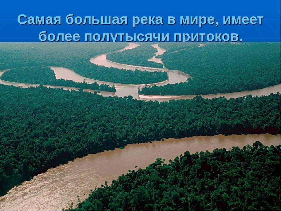 Самые полноводные реки мира и россии, на каком материке находятся