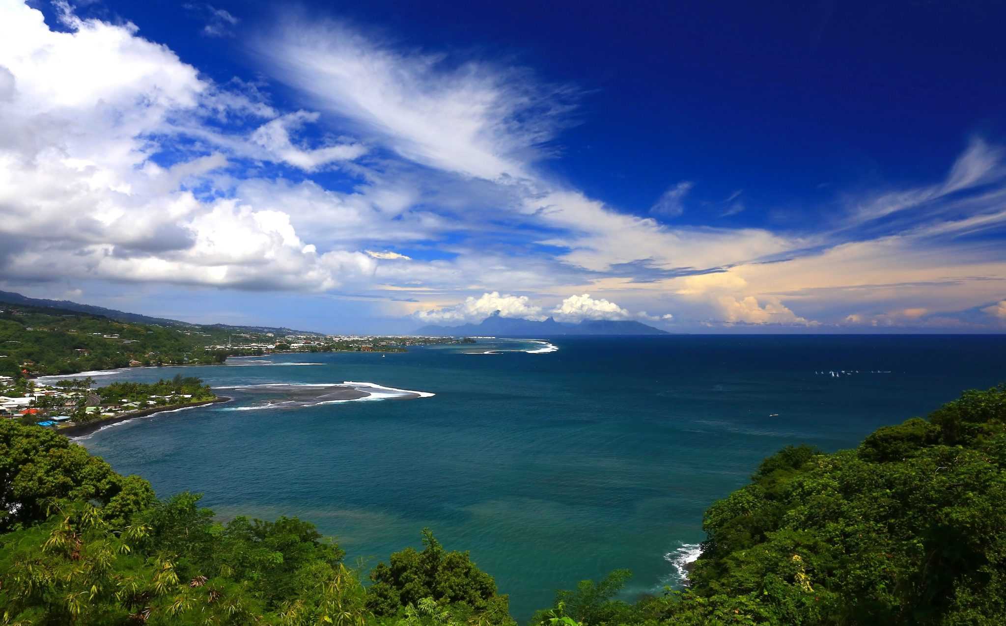 Тихий океан - общие характеристики и особенности органического мира
