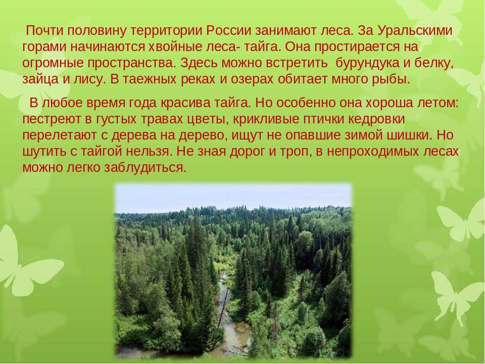 Информация природа россии