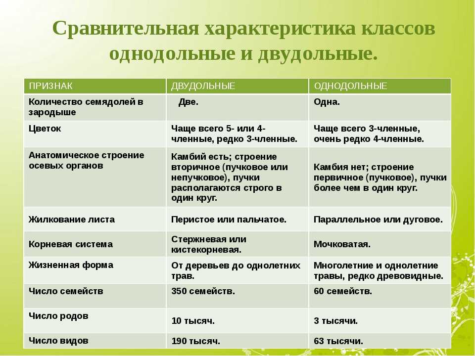 Урок 6: систематика растений - 100urokov.ru