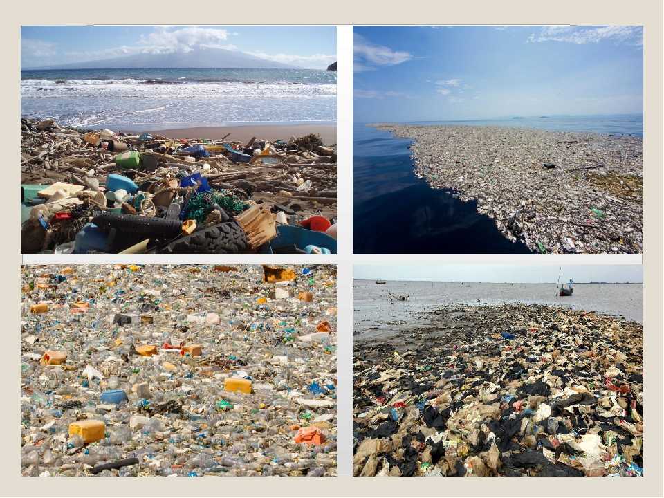 Большое тихоокеанское мусорное пятно: открытие, существующие проблемы и их решение