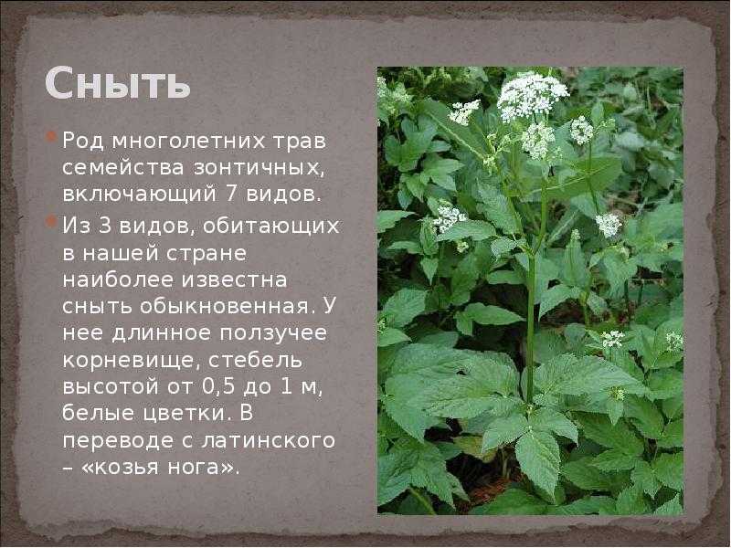 Природа московской области