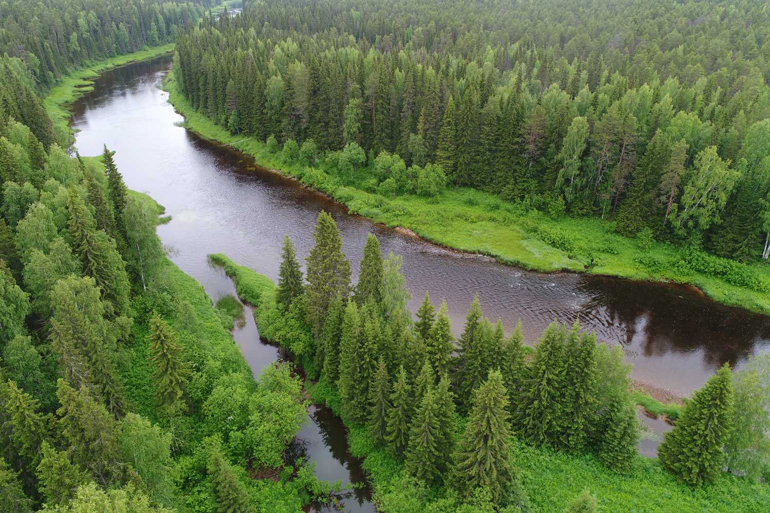 Река Северная Двина Архангельской области