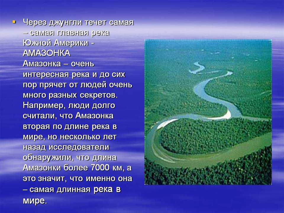 ?река амазонка: притоки, исток, устье, карта, фотогаллерея