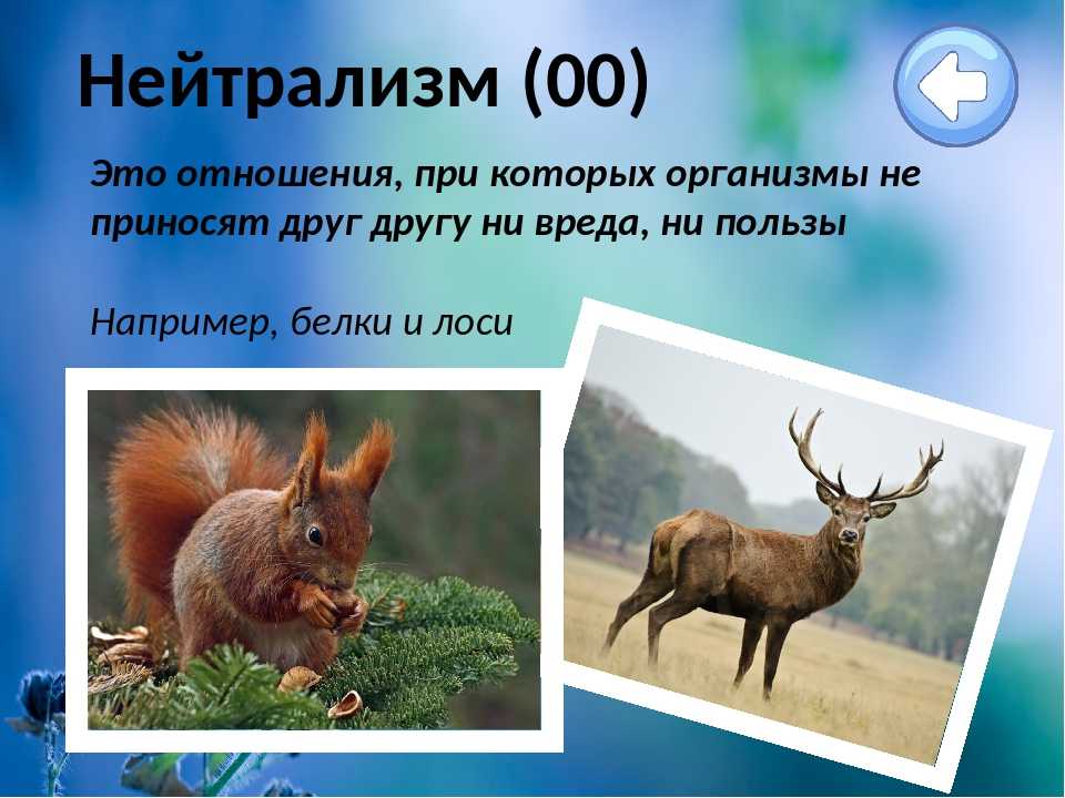 Урок 3: биотические факторы - 100urokov.ru