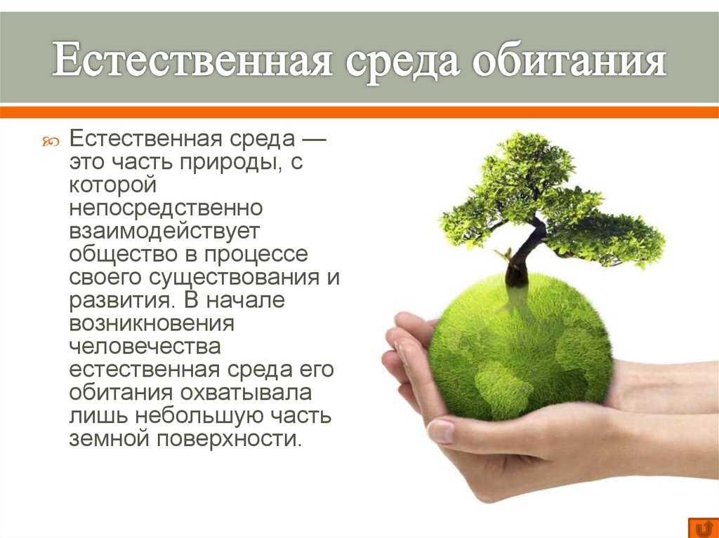 Урок 5: природа и общество - 100urokov.ru