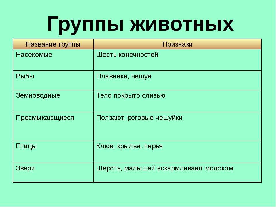 6 групп насекомых. Группы животных таблица. Группы животных 3 класс таблица. Признаки классов животных. Представители всех классов животных.