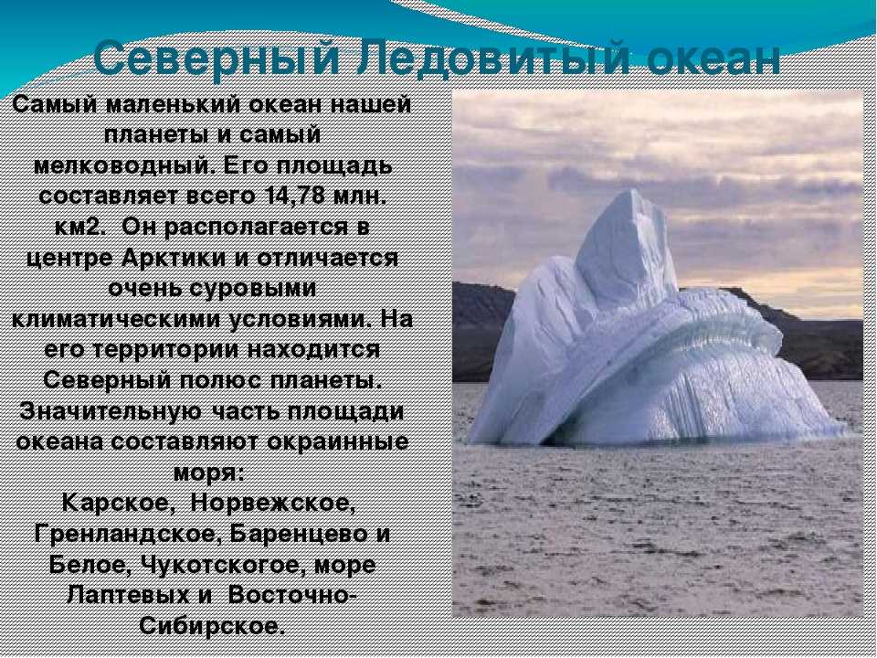 Ледовитый океан факты
