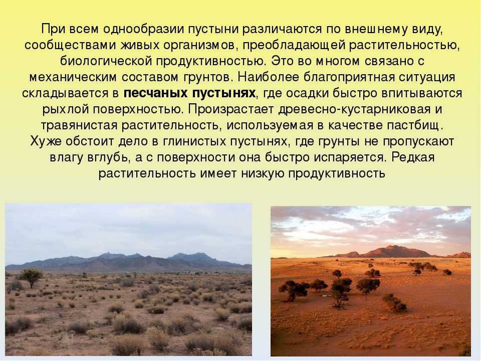 Пустыни и полупустыни ️ климат и географическое положение, животный мир