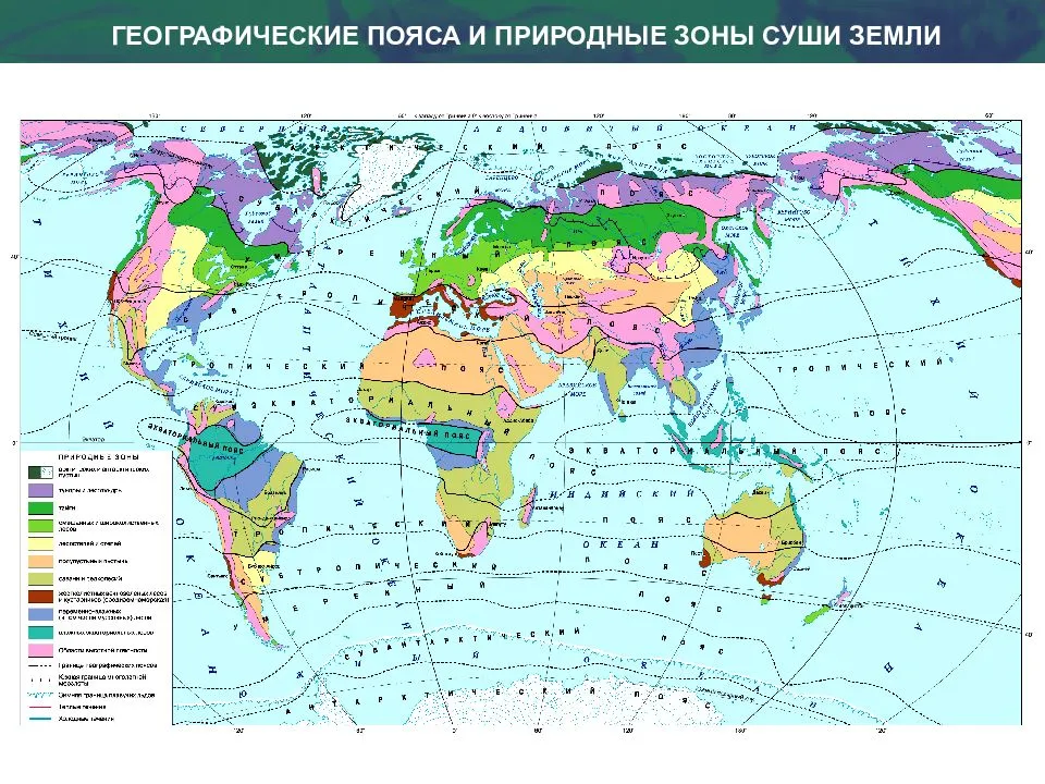 Природные зоны россии: характеристика и географическое положение на карте мира, зональность и почвы
