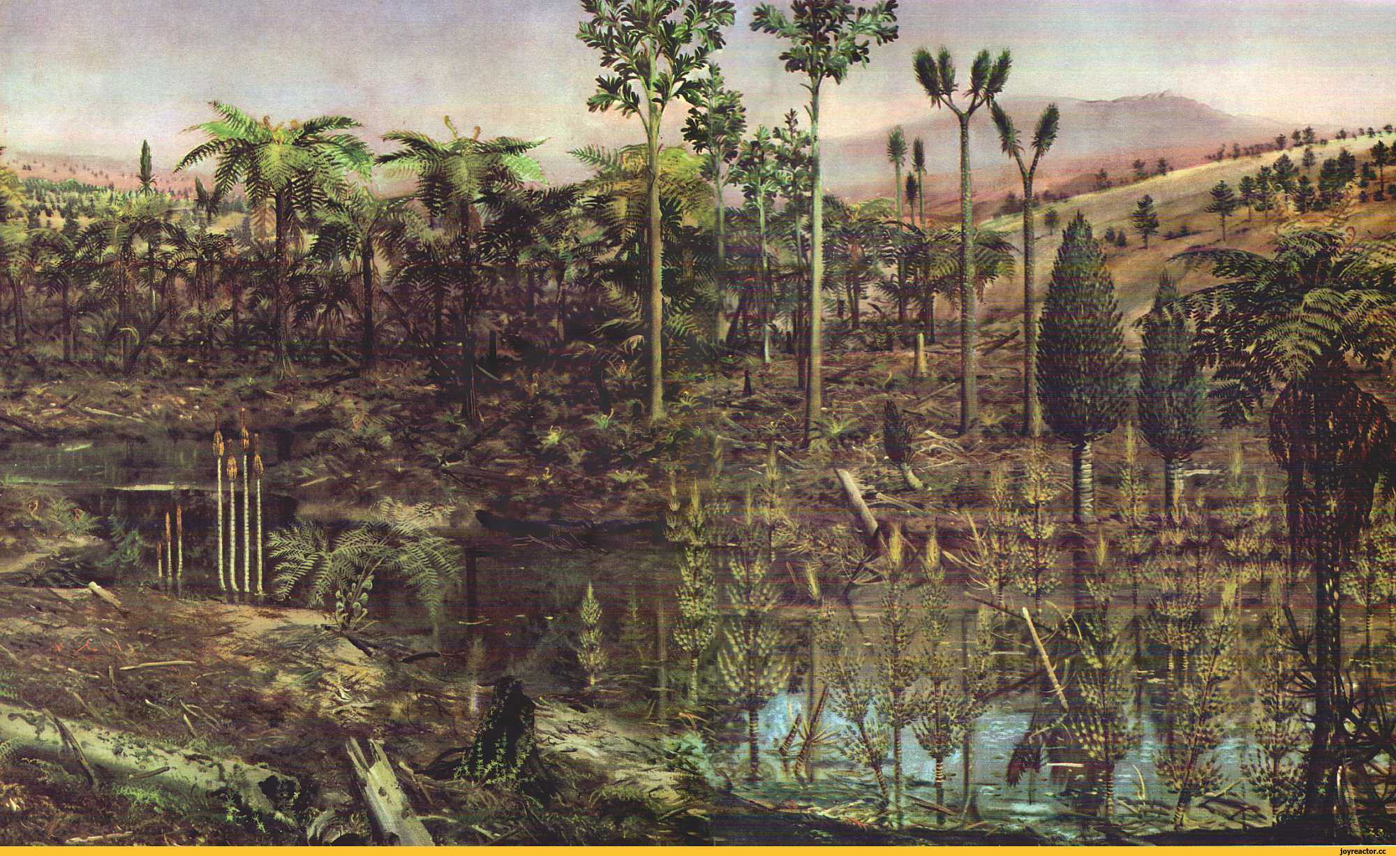 Пермский период, или пермь (299 — 252 млн лет назад)