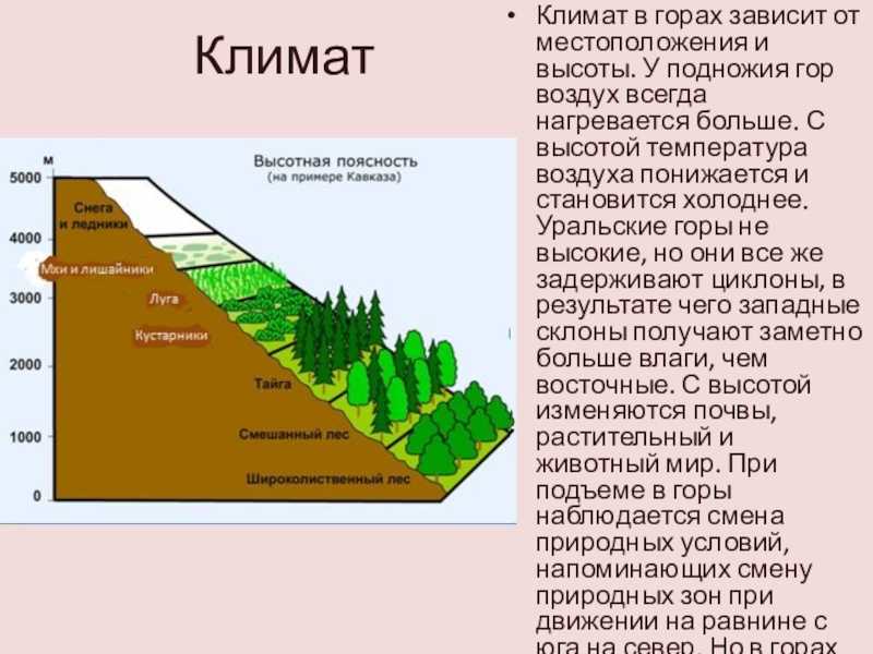 Как природные условия горных районов воздействуют на. Климат ВЫСОТНОЙ поясности в России. Области ВЫСОТНОЙ поясности пояс. Природные зоны Кавказа Высотная поясность. Тема и климат Высотная поясность в горах.