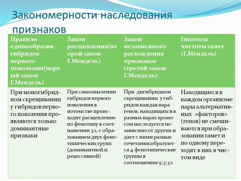 Презентация закономерности наследования