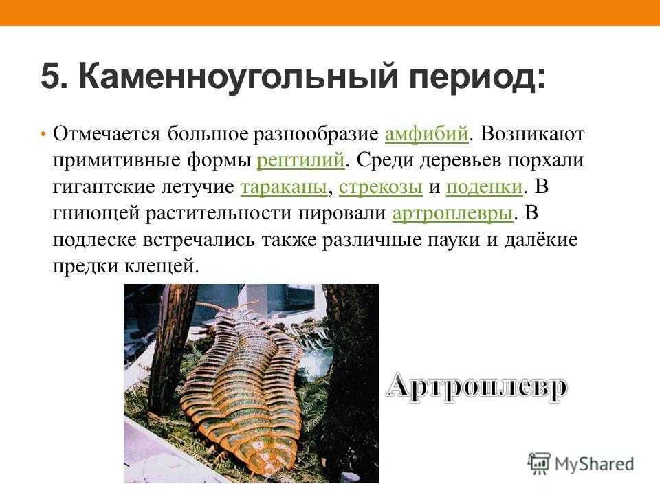 Жизнь в палеозойскую эру презентация