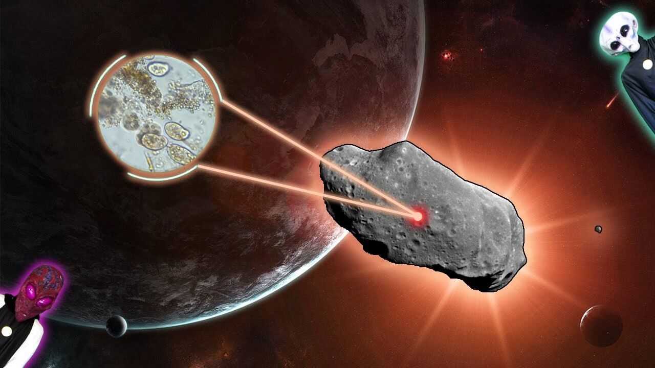Теория панспермии и происхождение жизни на земле - живой космос