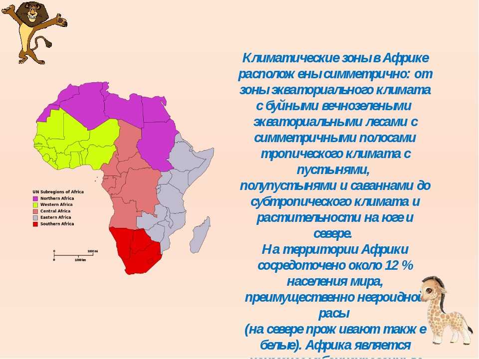 Карта мира и африки: где и на каком континенте находится пустыня сахара? (сезон 2022)