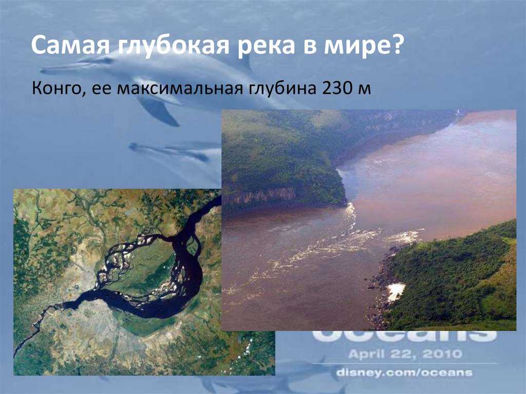 Длина реки енисей: какова примерная протяженность, площадь бассейна, какая водная артерия самая длинная в россии и мире - лена, амур или амазонка?