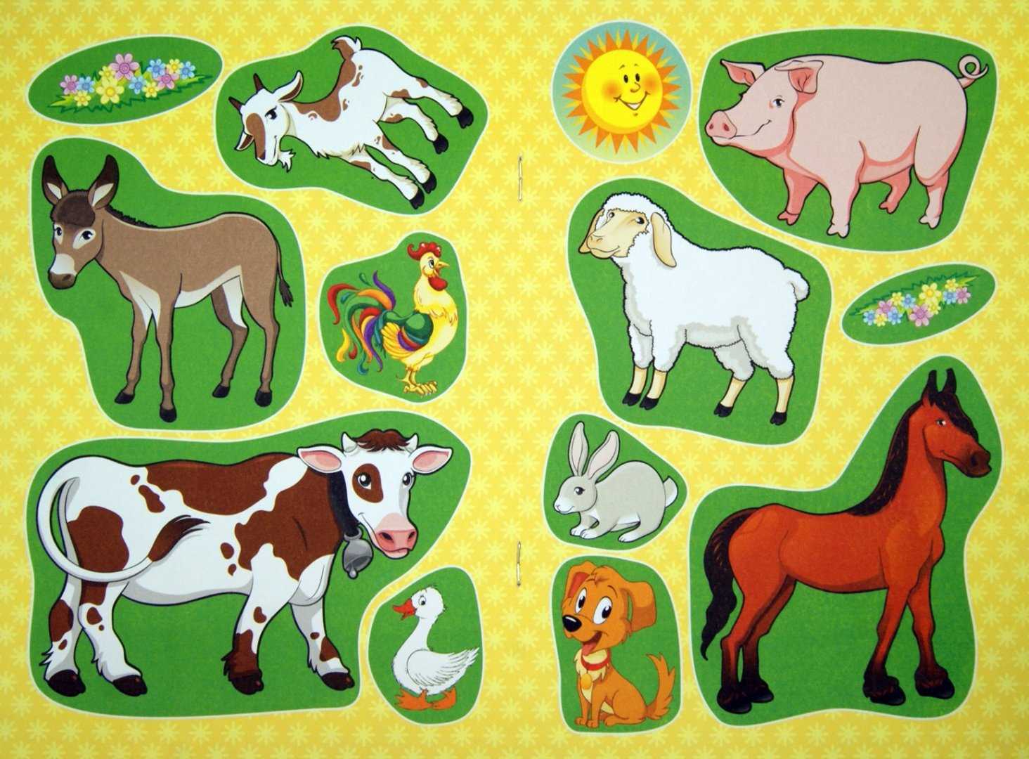 Картинки животных для детей: домашние и дикие, красивые рисунки, раскраски для малышей