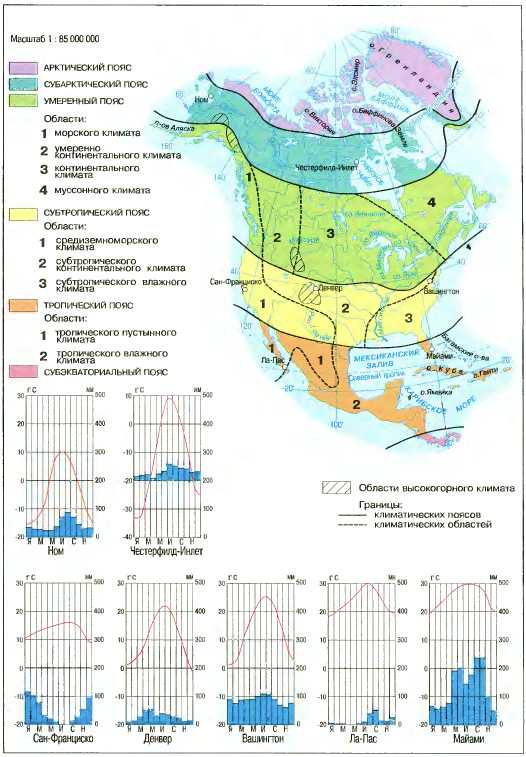 Климат северной америки таблица климатические пояса