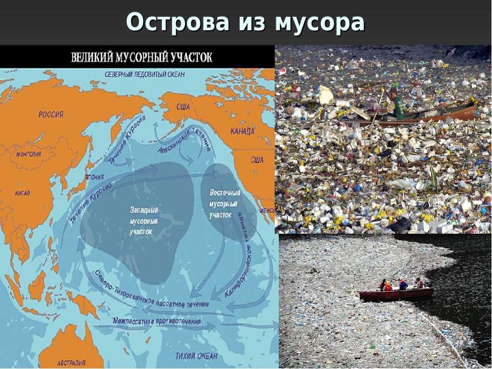 Большое тихоокеанское мусорное пятно — мифы и реальность