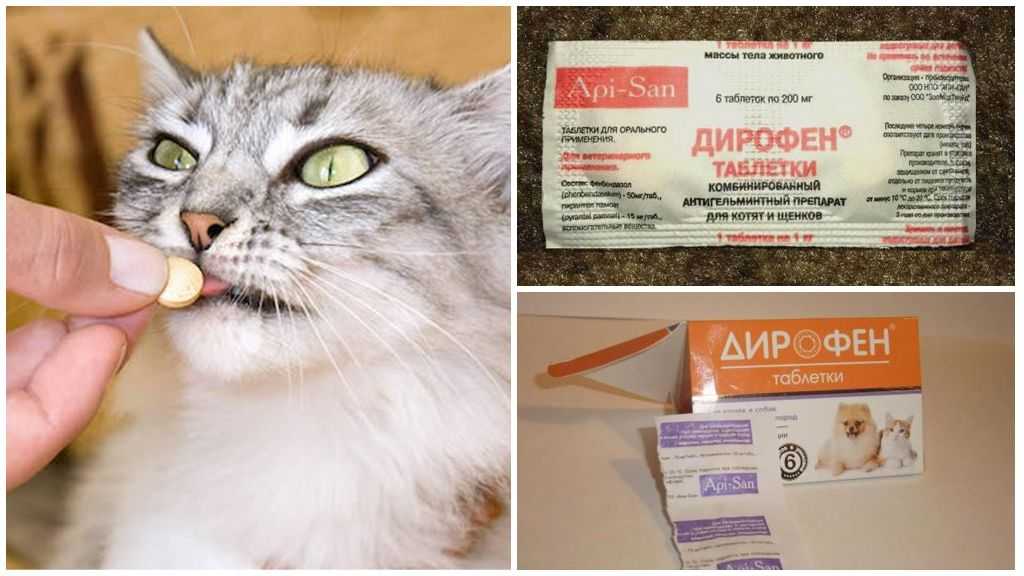 Профендер для кошек, инструкция по применению для лечения от глистов котят и взрослых животных