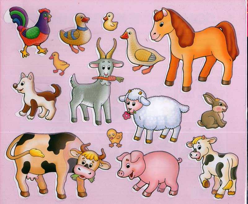 Картинки животных для детей - цветные, красивые, домашние и дикие | мир детства
