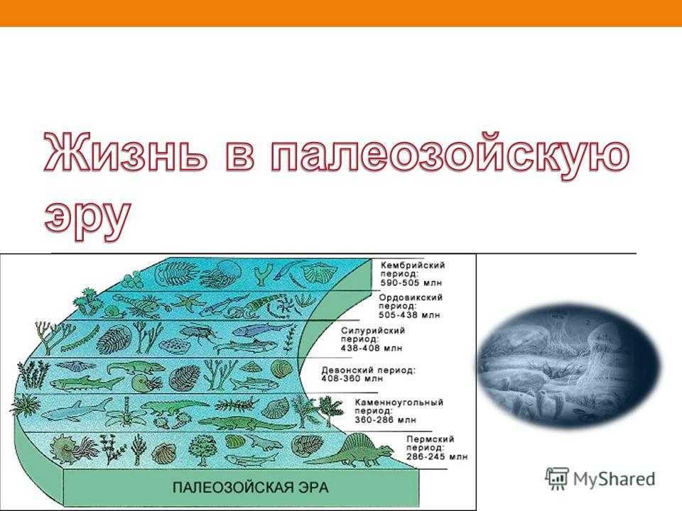 Палеозойская эра презентация 11 класс