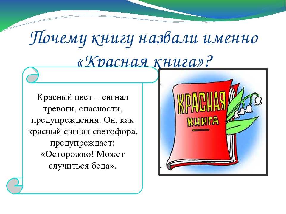 Проект красная книга окружающий мир образец. Проект красная книга. Проект красная книга 2 класс. Проект по окружающему миру красная книга. Проект красная книга или возьмем под защиту.