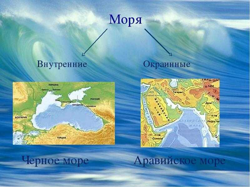 Какие моря омывают россию: их характеристика и особенности