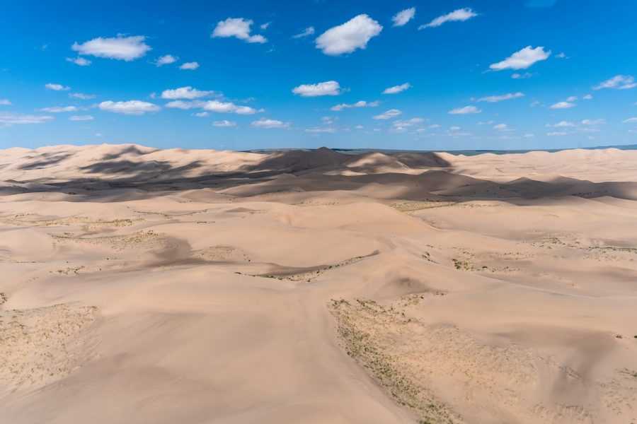ОТВЕТ: Пустыня Гоби находится в Азии, на севере и северо-западе Китая, а также в южной части Монголии