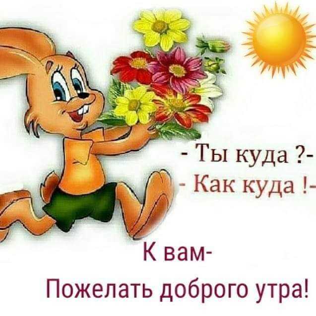 Очень красивые картинки - доброе солнечное утро! » 72tv.ru - картинки и открытки "красивые поздравления"!
