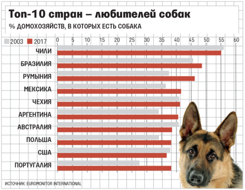 Статистика нападений собак. Количество собак по странам. Статистика собак. Количество собак в мире. Количество собак в мире по странам.