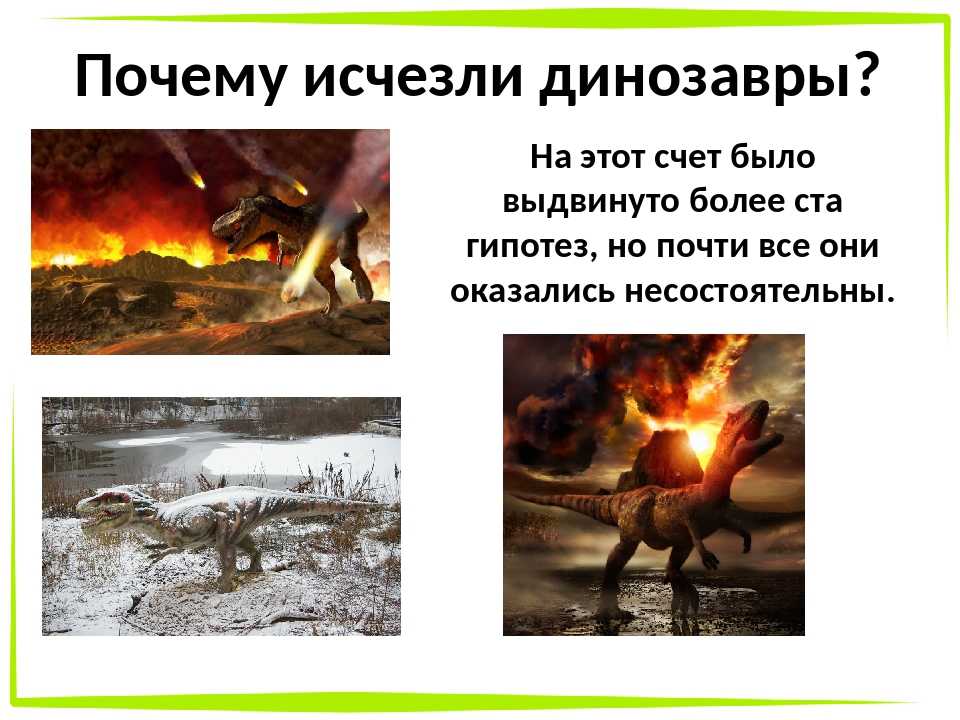 Астероид, который положил конец динозаврам: как это было - hi-news.ru
