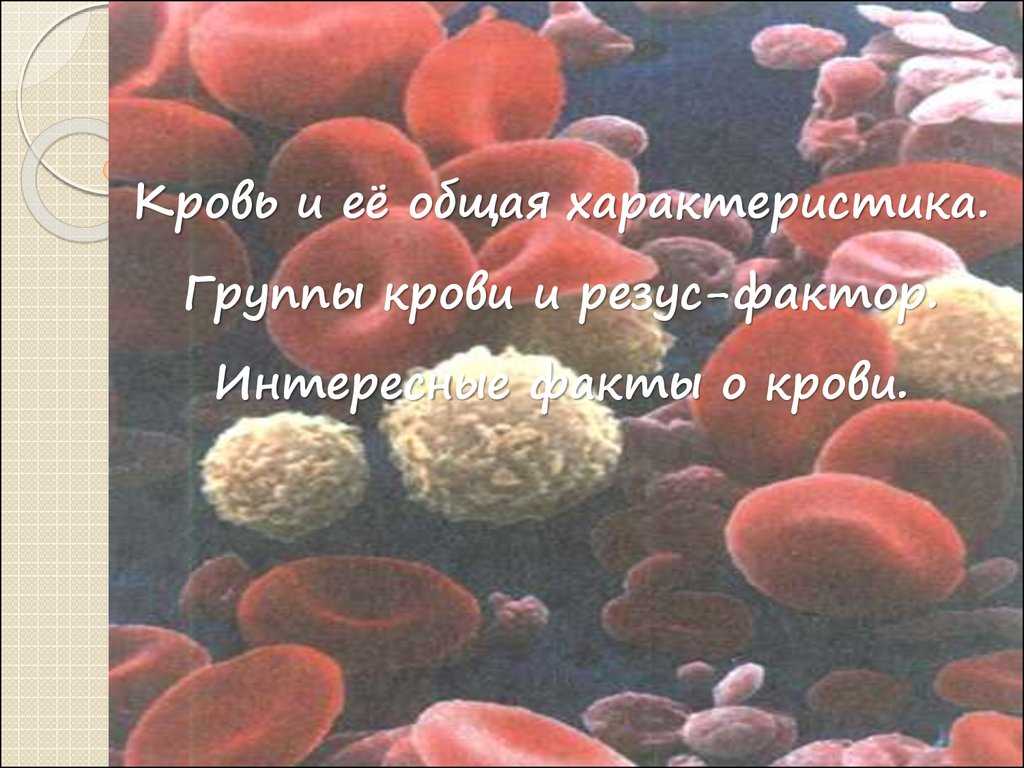 Биохимия крови