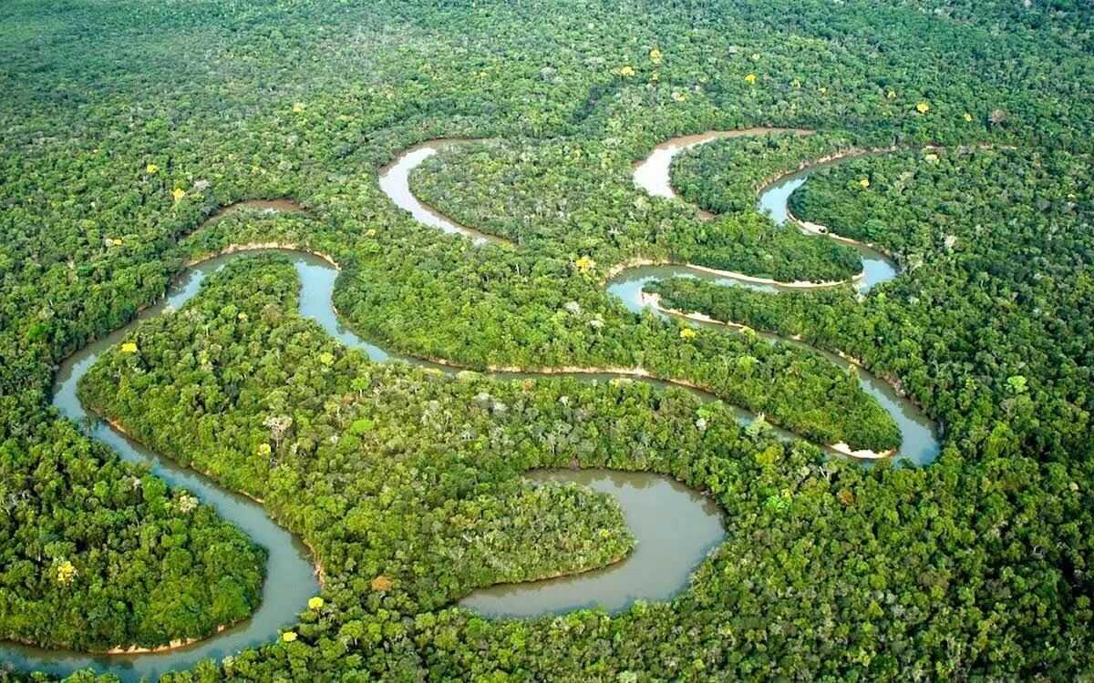 Самая длинная река в мире. 5 самых длинных рек